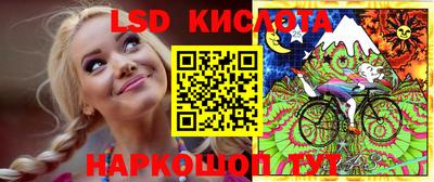 твердый Камышлов